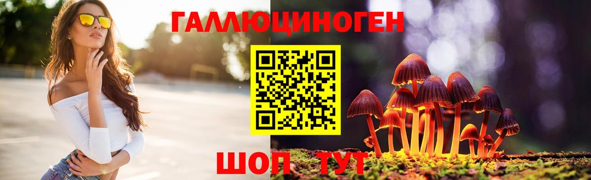 Сыктывкар  Галлюциногенные грибы Psilocybine cubensis  Вход с VPN 